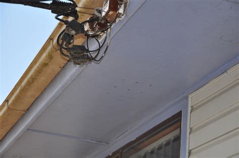 hardieflex asbestos|Cement sheeting and asbestos .